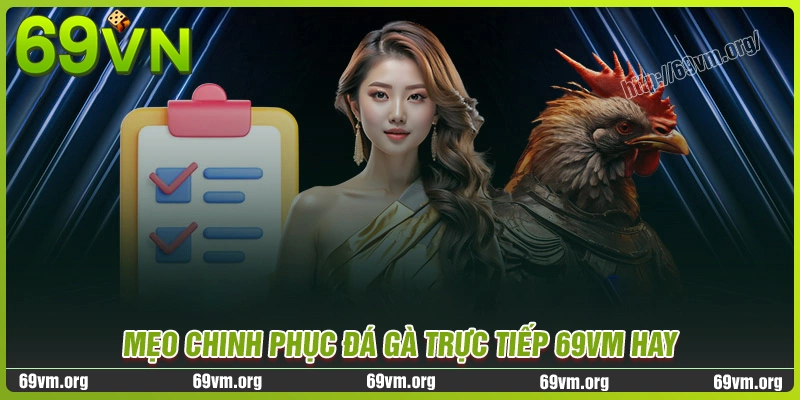 Chiến thuật chơi đá gà 69vm hiệu quả lớn Chiến thuật chơi đá gà 69vm hiệu quả lớn