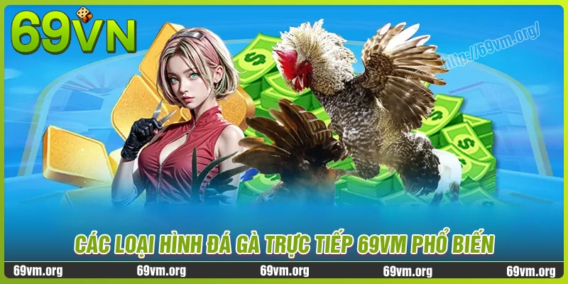 Những loại hình đá gà 69vm được ưa chuộng hiện nay Những loại hình đá gà 69vm được ưa chuộng hiện nay
