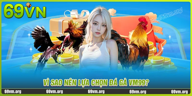 Vì sao đá gà 69vm là sự lựa chọn hàng đầu của giới mê gà chiến? Vì sao đá gà 69vm là sự lựa chọn hàng đầu của giới mê gà chiến?