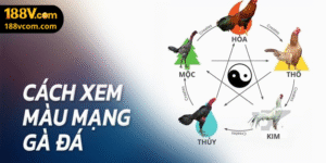 Nhận Diện Màu Mạng Gà Chọi Bàng Bảng Vàng Ngũ Hành 188v Trong 30 Giây