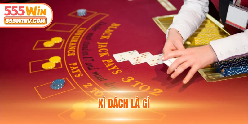 Luật chơi và quy trình tham gia tại trang chủ 555win